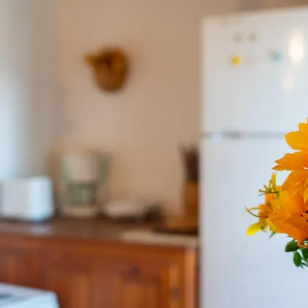 Ferienhaus Stone House In Pelion Lafkos